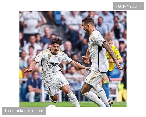 萨利巴与迪亚斯：体系型中卫的战术角色差异分析